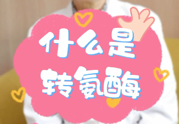 【名醫(yī)面對面之消化100問】什么是轉氨酶？