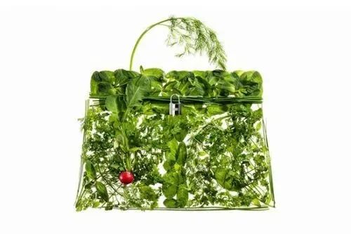 蔬菜界的“愛(ài)馬仕”會(huì)中毒致癌？