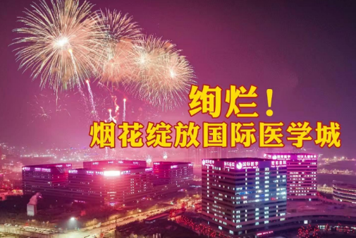 絢爛！煙花綻放國際醫(yī)學(xué)城